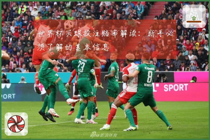 世界杯买球投注赔率解读：新手必须了解的基本信息
